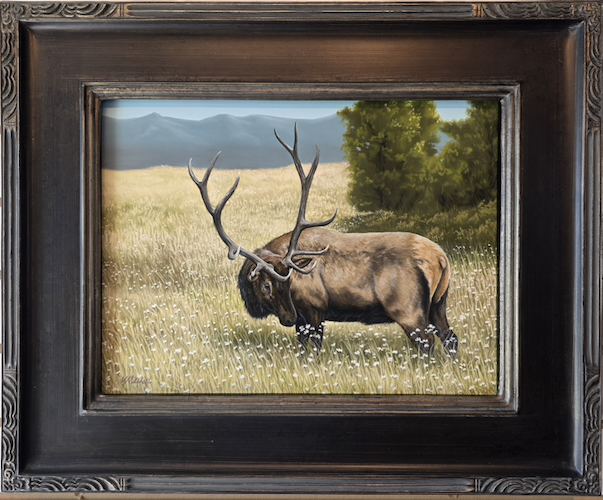 Click to view detail for Pinon Meadow, Elk, 12x16 $1100